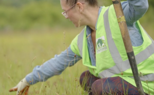 Volunteer working at Cumbernauld Living Landscape site