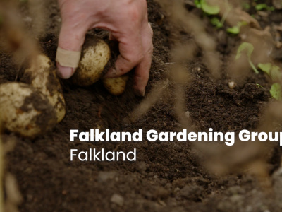 Falkland Gardening Group –  Sugar Acre: the sweet spot that brightens up the village