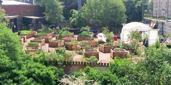 Concrete Garden - Interim Land use for Food Growing