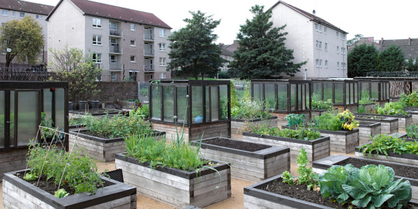 Shettleston Growing Project - From Derelict Land to the Heart of the Community