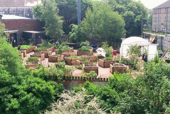 Concrete Garden - Interim Land use for Food Growing